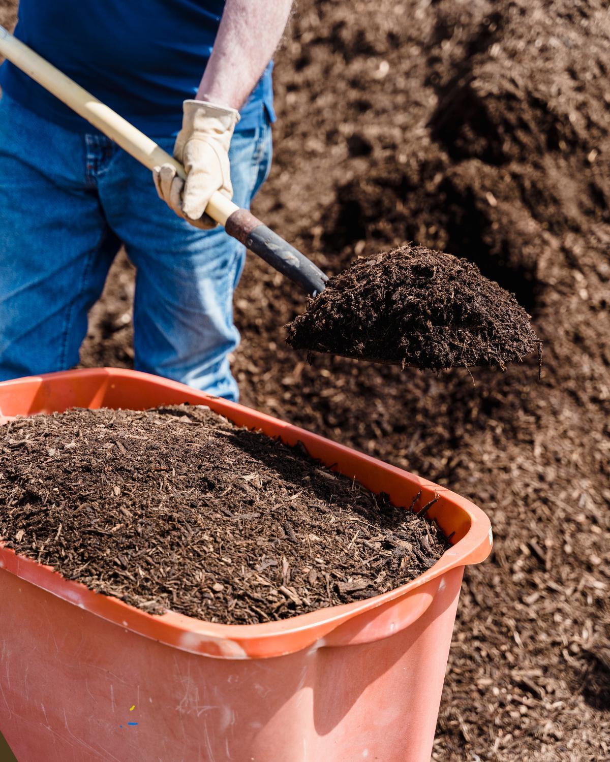 landscaping ideas worth the money 06